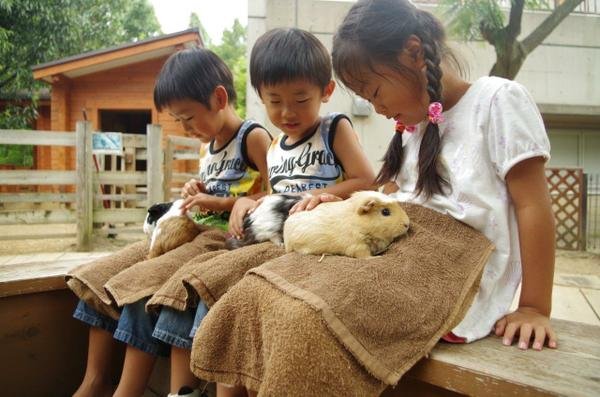 🦋 아다치구 생물원 (아다치쿠 세이부츠엔) 이미지 4